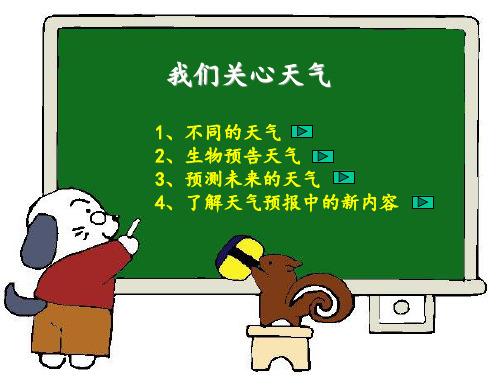 《我们关心天气》教学课件1