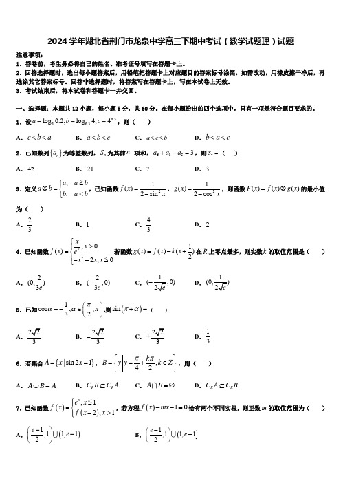 2024学年湖北省荆门市龙泉中学高三下期中考试(数学试题理)试题