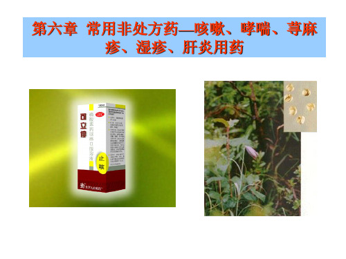 第六章  咳嗽非处方药