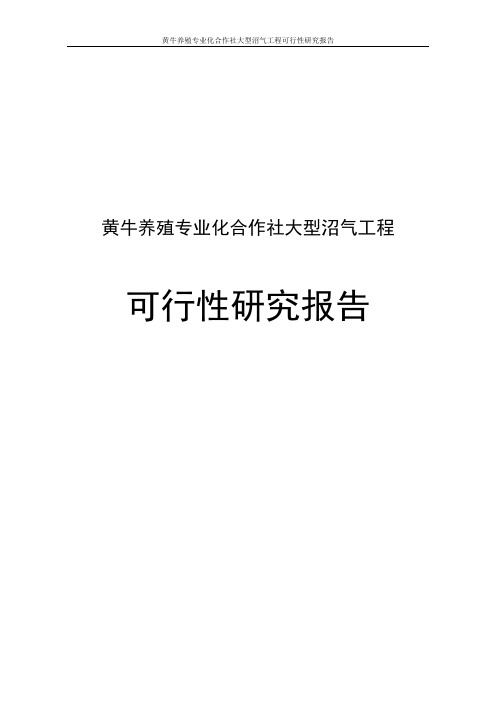 黄牛养殖专业化合作社大型沼气工程可行性研究报告