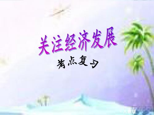 《关注经济发展》复习课件