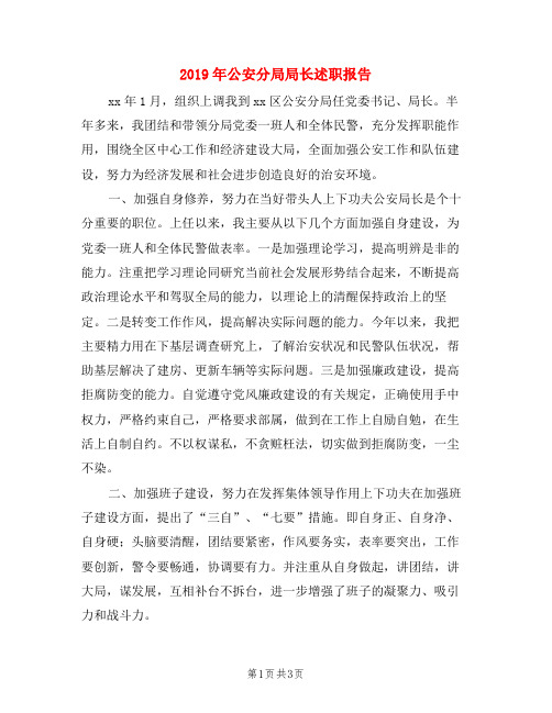 2019年公安分局局长述职报告