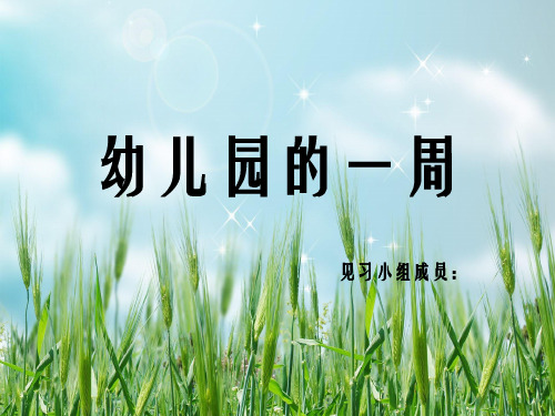 《见习总结》PPT幻灯片PPT