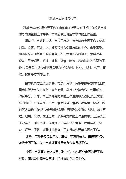 聊城市政府领导分工