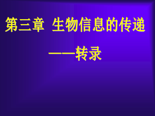 第三章 转录