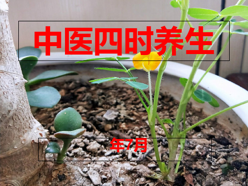 中医四时养生