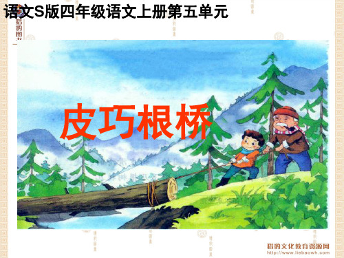 (语文S版)四年级语文上册课件 皮巧根桥 1