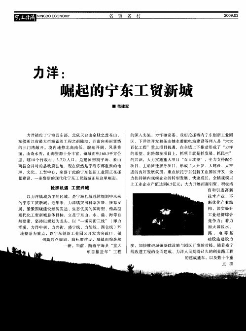 力洋：崛起的宁东工贸新城