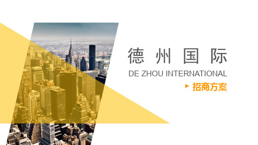 2016德州国际招商方案-商家版