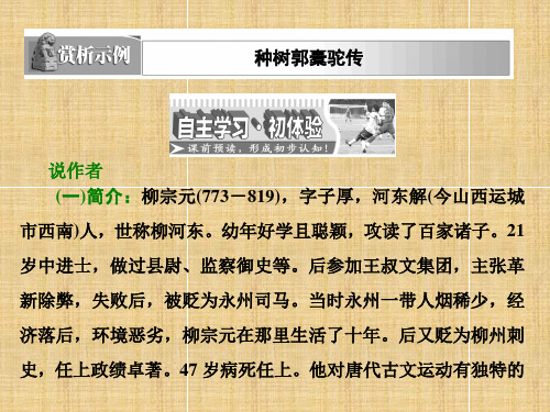 语文版高中语文选修《唐宋八大家散文鉴赏》种树郭橐驼传   课件(59张)