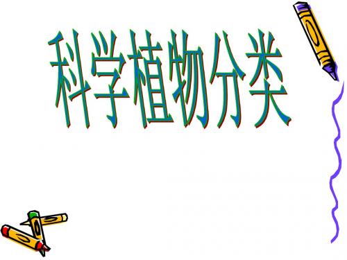 科学植物分类
