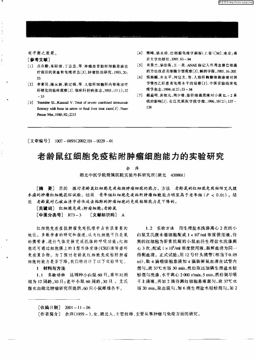 老龄鼠红细胞免疫粘附肿瘤细胞能力的实验研究