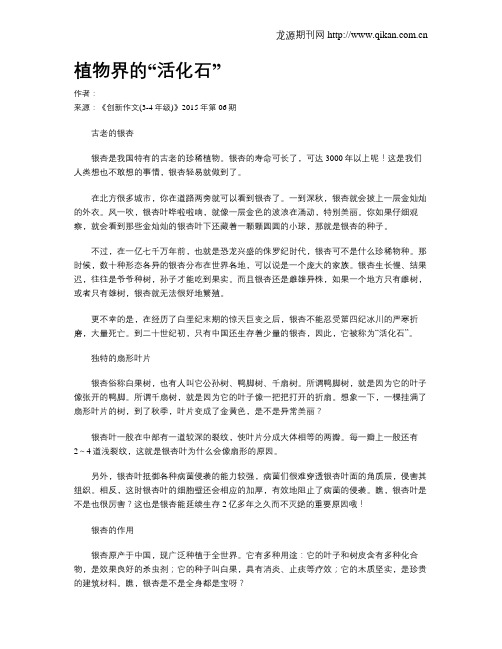 植物界的“活化石”