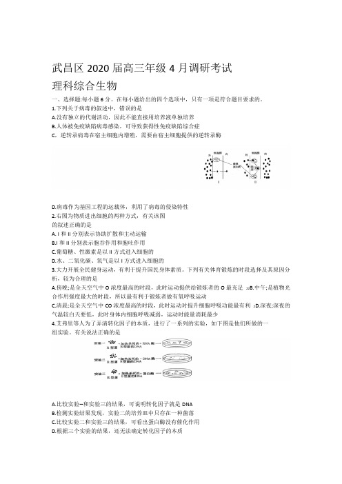湖北省武汉市武昌区2020届高三年级四月调研考试理综生物包含答案