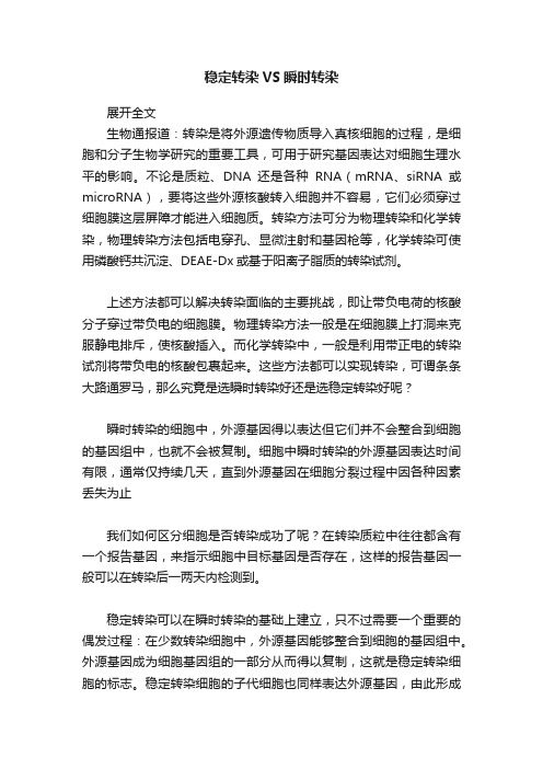 稳定转染VS瞬时转染