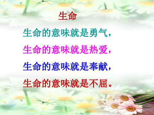 《花的勇气》课件PPT