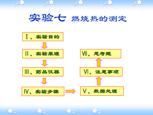 物化实验(燃烧热、相图、活化能)