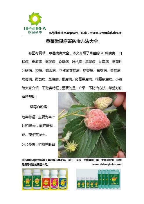 草莓常见病害防治方法大全