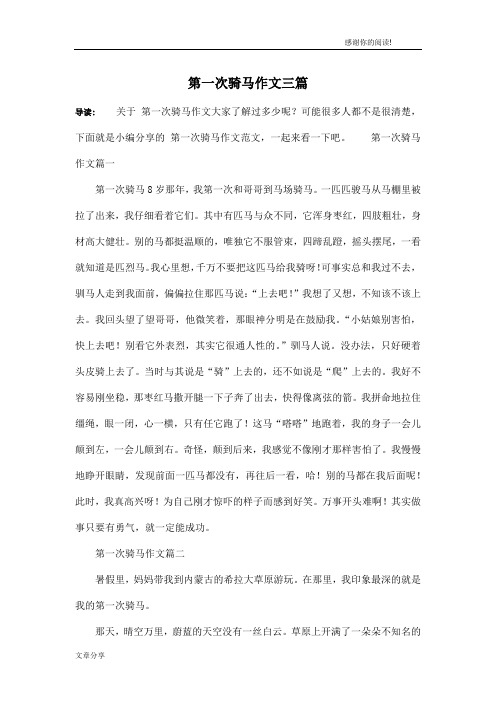 第一次骑马作文三篇