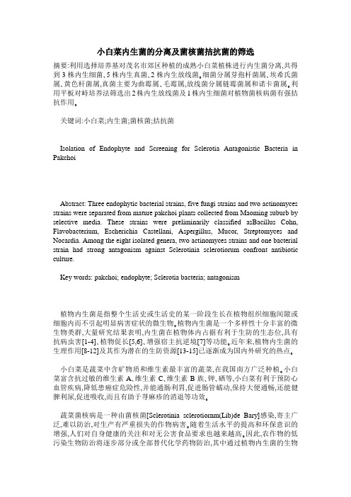 小白菜内生菌的分离及菌核菌拮抗菌的筛选