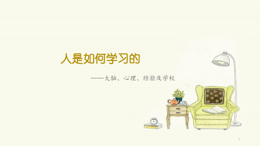 —人是如何学习的PPT幻灯片
