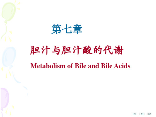 胆汁酸代谢(2013)