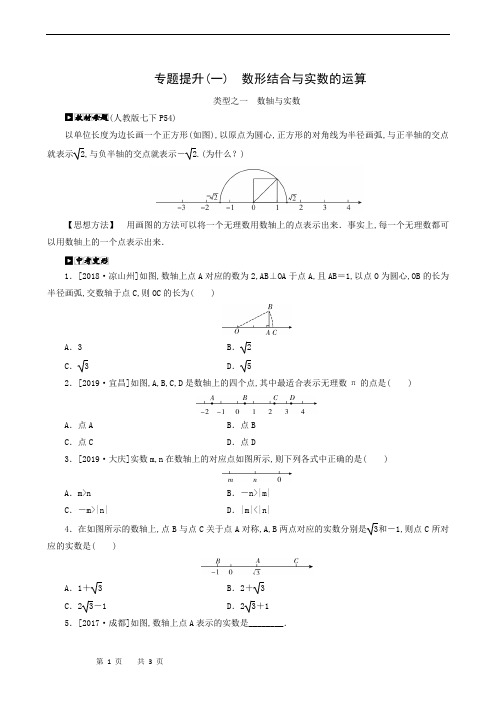 中考数学全效复习：专题提升(1) 数形结合与实数的运算