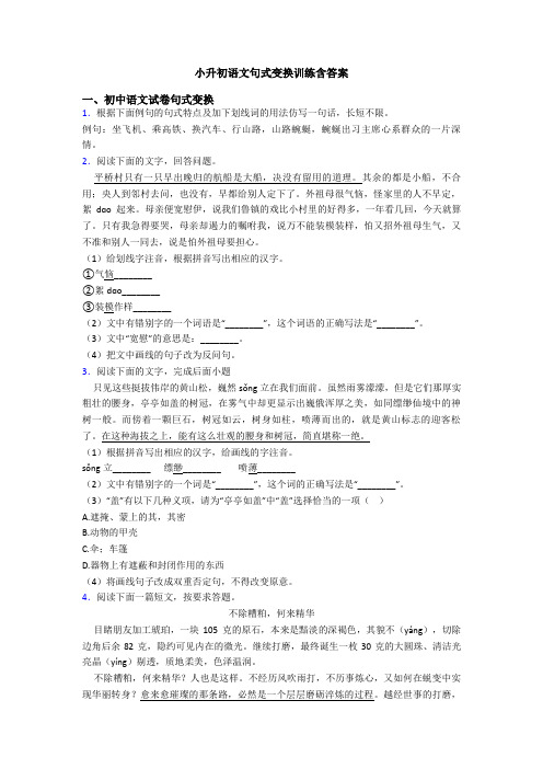 小升初语文句式变换训练含答案