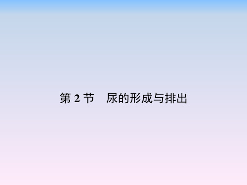 北师大版七年级下册生物 11.2尿的形成与排出 课件 (共20张PPT)