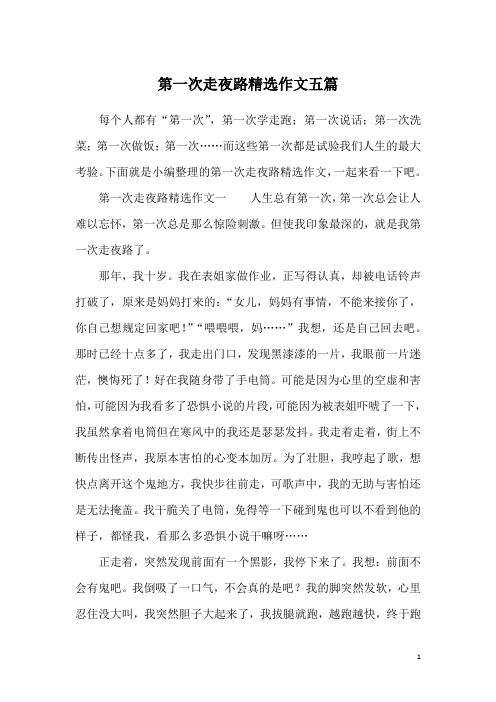 第一次走夜路精选作文五篇
