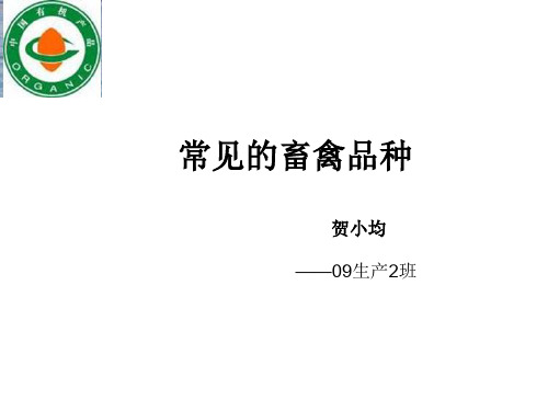 常见的畜禽品种ppt课件