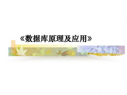 ch1关系数据库概述
