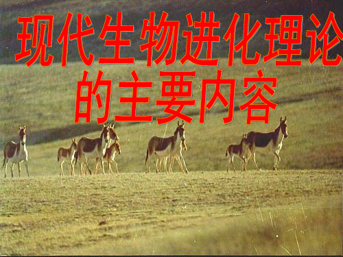 现代生物进化理论的主要内容
