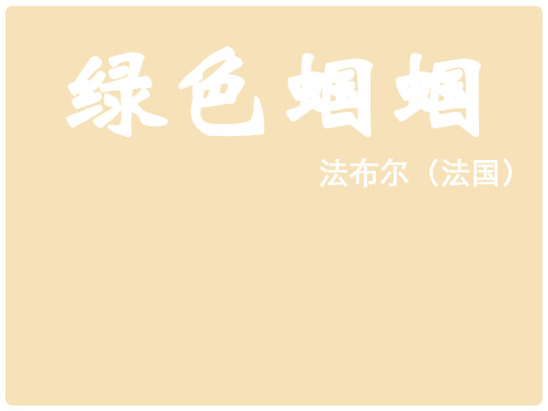 江苏省铜山县七年级语文上册 23 绿色蝈蝈课件 (新版)