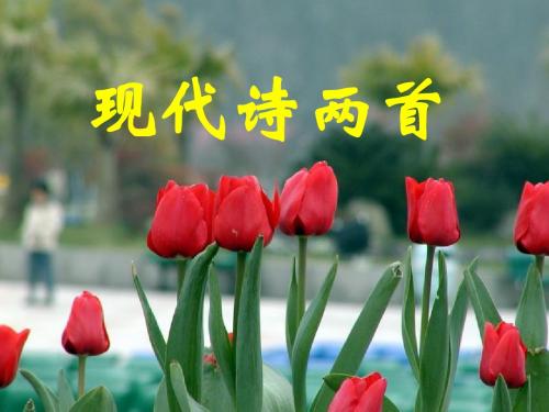 语文：2.6《现代诗两首》精品课件(语文版八年级下)