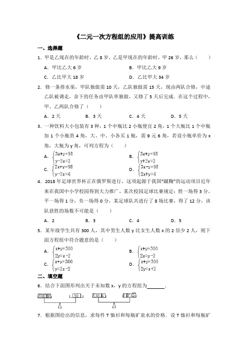 湘教版数学七年级下册_《二元一次方程组的应用》提高训练