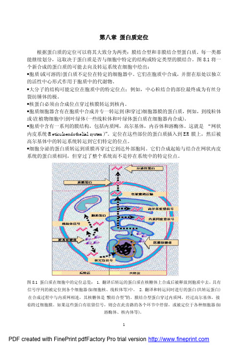 第八章 蛋白质定位