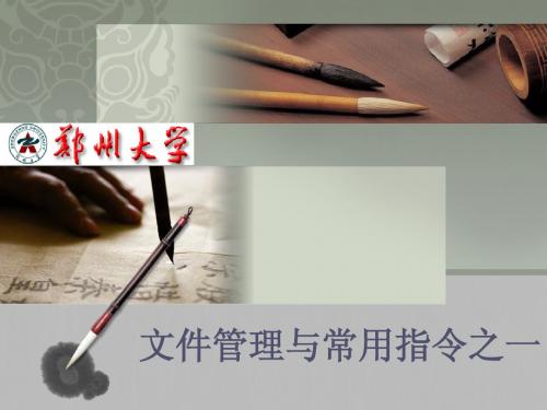 linux4(文件管理与常用指令一)