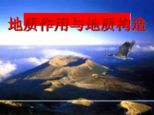 地质作用与地质构造PPT