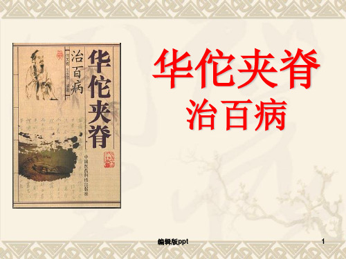 华佗夹脊穴