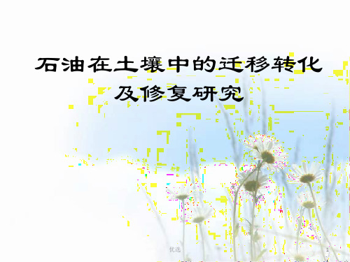 石油烃污染土壤(完整版).pptx