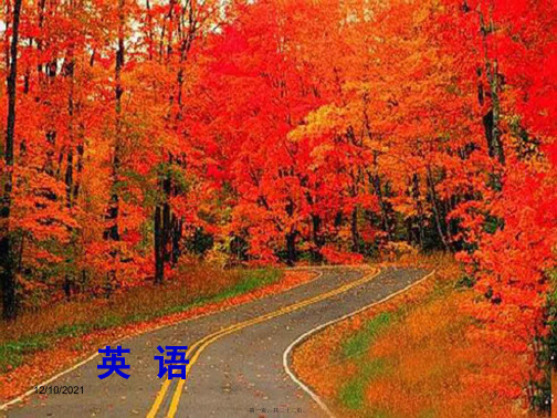 中考英语总复习 第2部分 语法突破 专题2 冠词精讲课件