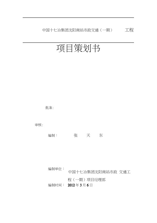 沈阳南站项目策划书最终版