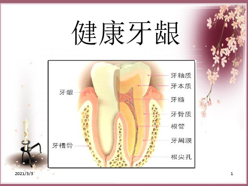 《牙齿保健知识讲座》PPT课件