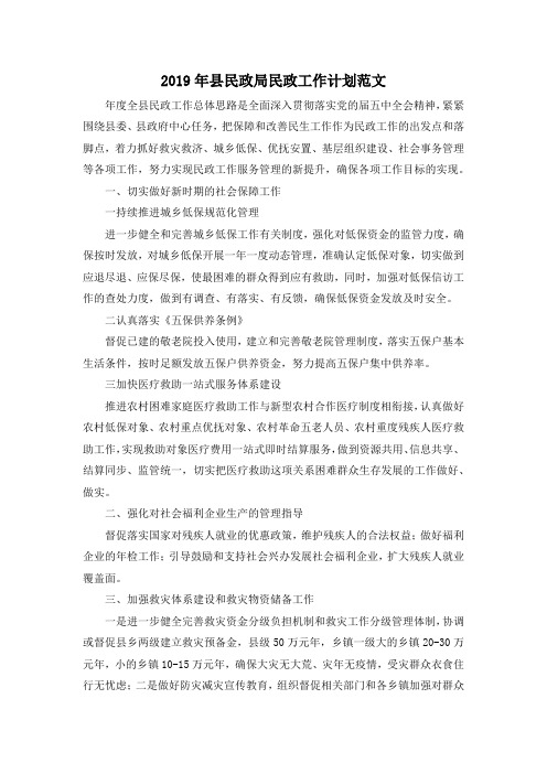 最新-2019年县民政局民政工作计划范文 精品