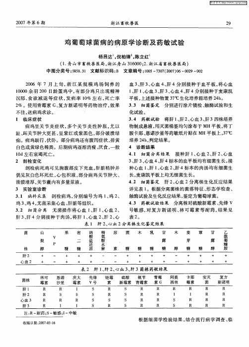 鸡葡萄球菌病的病原学诊断及药敏试验