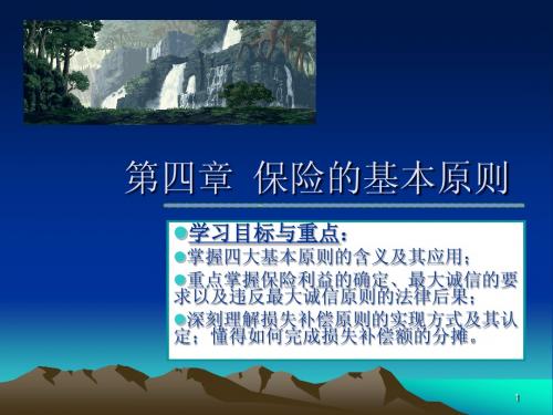 保险的基本原则