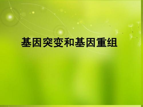 高中生物《第五章 第一节 基因突变和基因重组》课件2 新人教版必修2