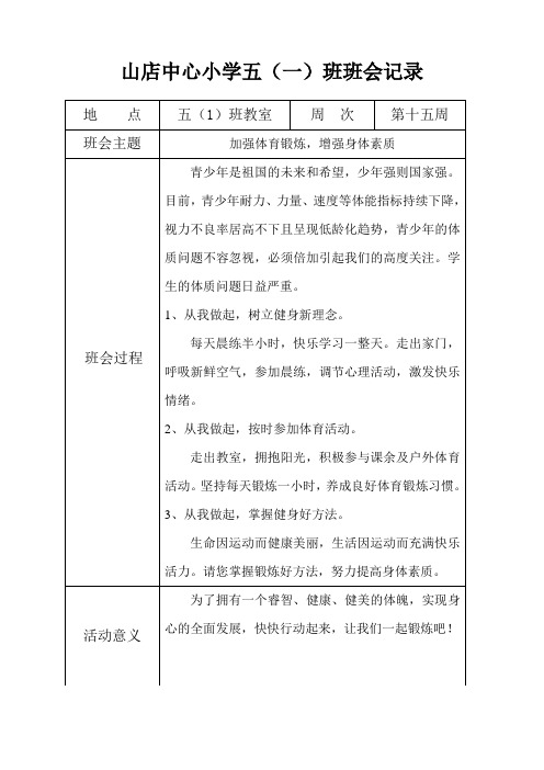 主题班会记录表格(15)