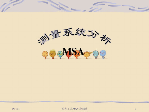 五大工具MSA详细版